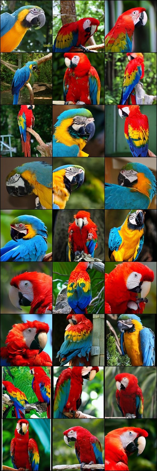 Macaw samples