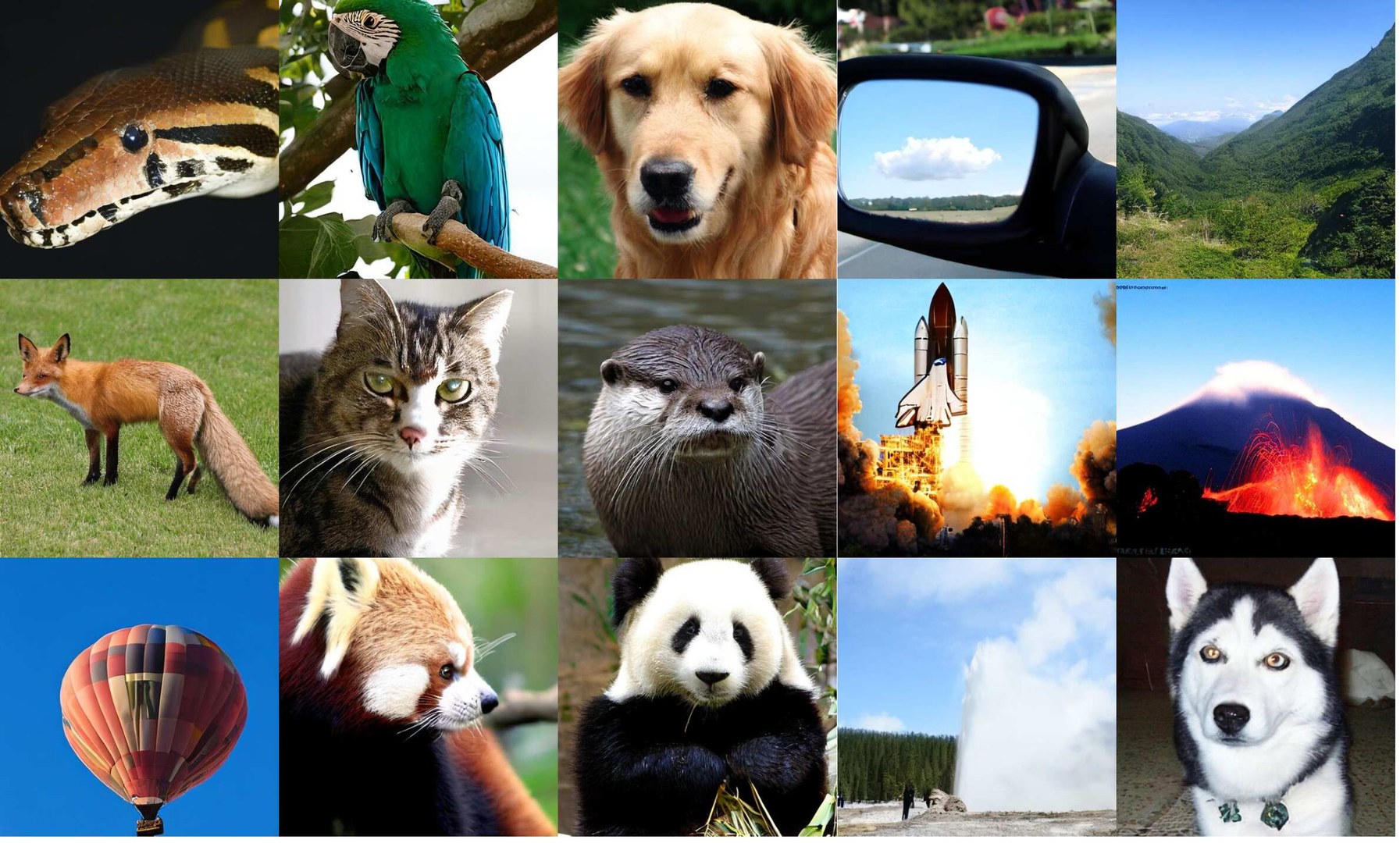ImageNet 512 qualitative results